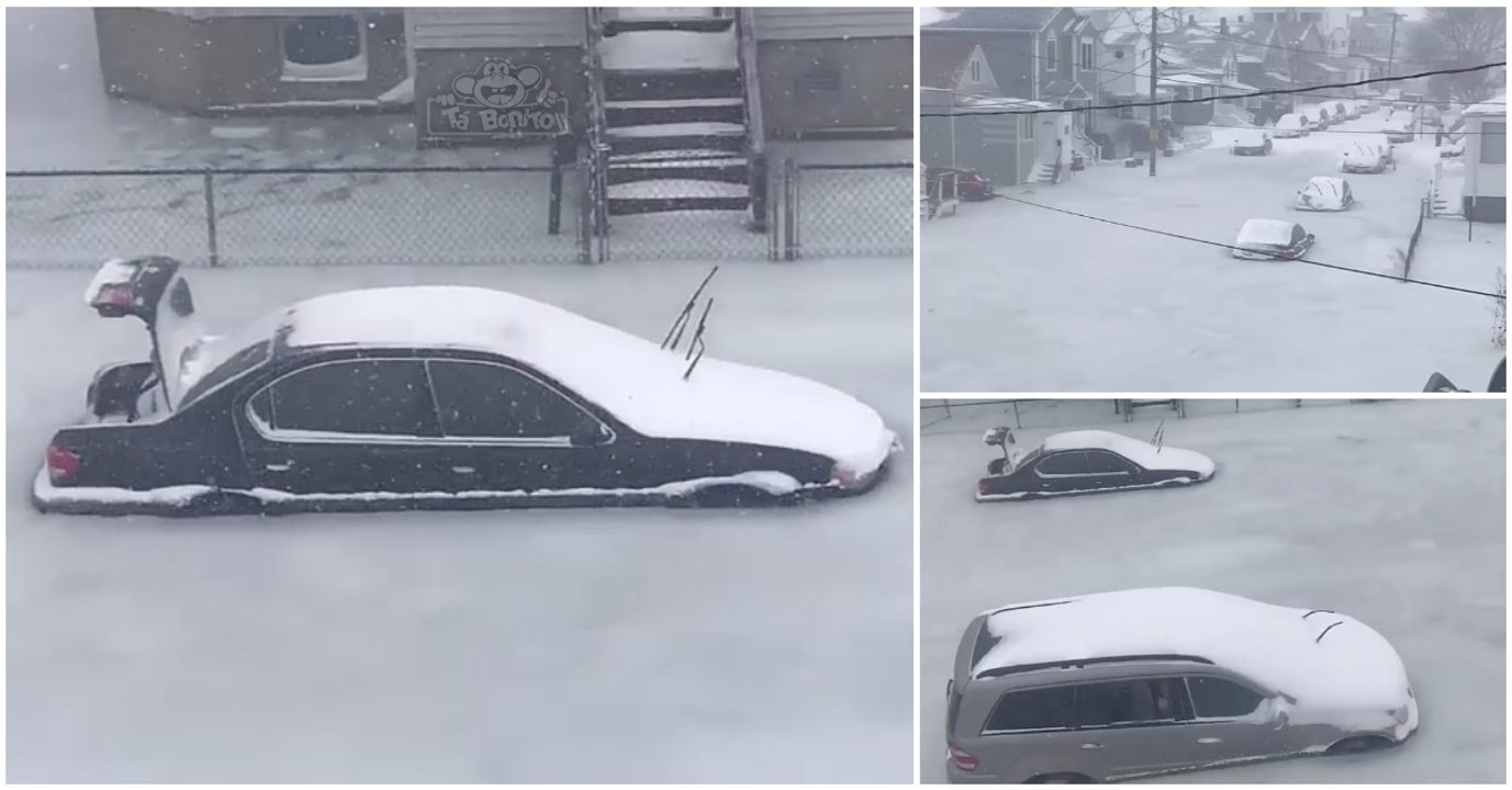 Faz tanto frio nos Estados Unidos que os carros simplesmente congelaram nas ruas