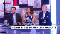 Céline et ses pamphlets maudits : extrait de L'heure des pros (CNews, 05.01.2018)