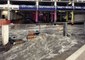 Floodwaters Rush Through Las Vegas Parking Lot After Unusual Rainfall