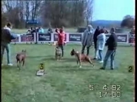 Don carlos du fief des ilôts