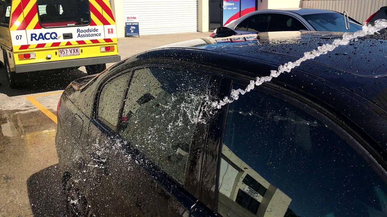 Cat Rescued from Hot Car