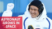 Japanese astronaut Norishige Kanai grows more than 3 inches in space