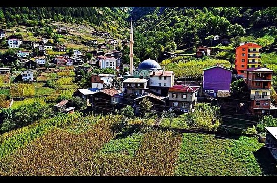 Çaykara Köknar Köyü