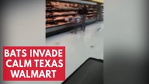 Bats invade Texas Walmart and everyone remains calm