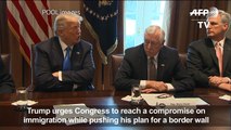 Trump wants immigration compromise and border wall