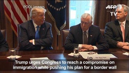 Trump wants immigration compromise and border wall