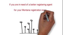 Montana LLC