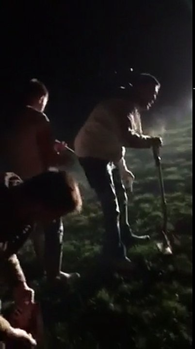 Firework Bum