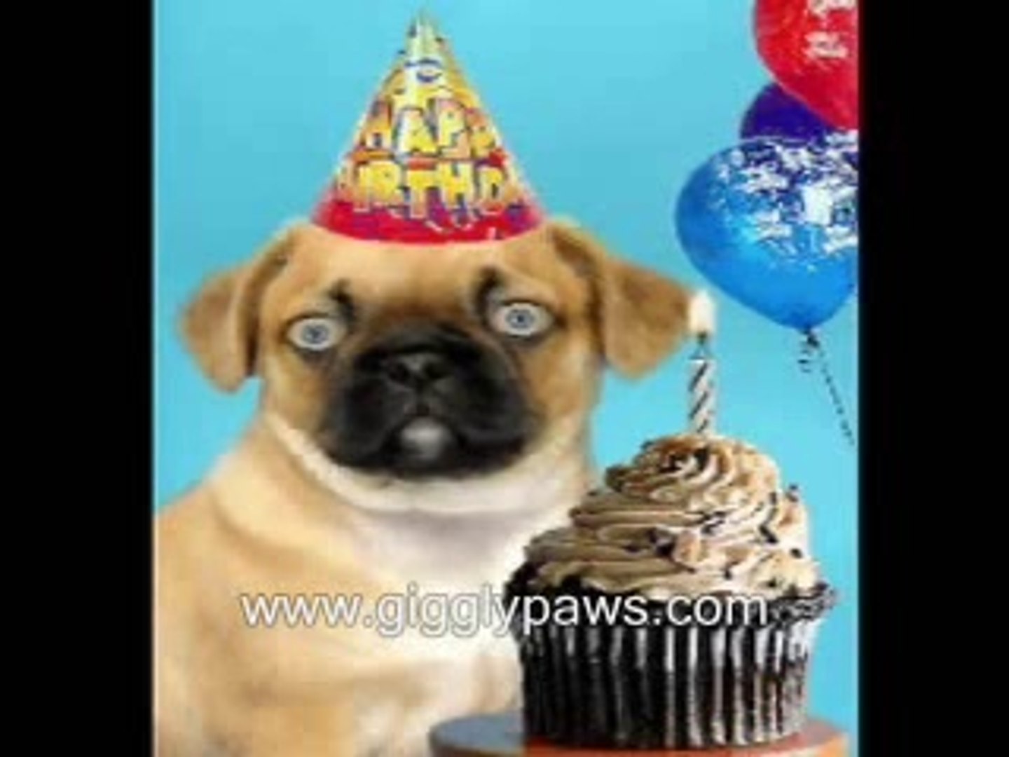 Pug Sings Happy Birthday - Hilariously Funny Dog Vide - video Dailymotion