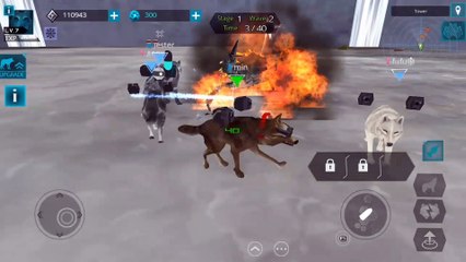 xwolf top battle(30sec)