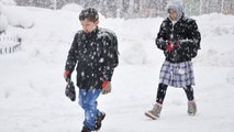 Ardahan'da Eğitime Kar Engeli! Posof'ta Okullar Tatil Edildi