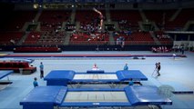 USHAKOV Dmitrii (RUS) - 2017 Trampoline Worlds, Sofia (BUL) - Qua