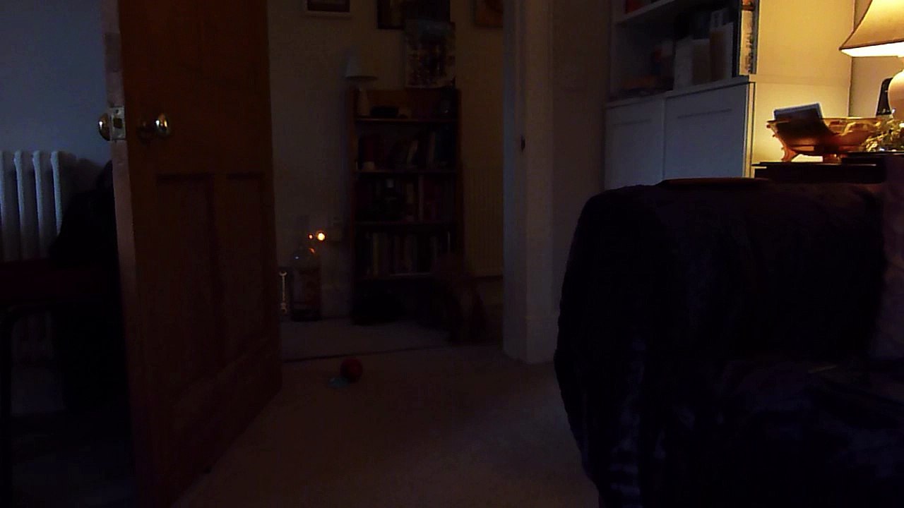Oliver's new squeaky ball.  Christmas 2017.
