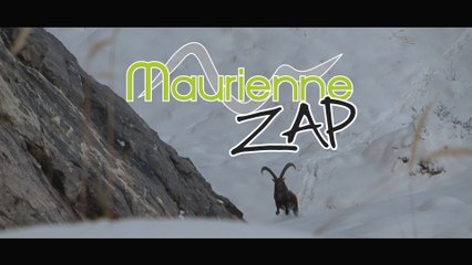 Maurienne Zap # 370