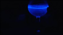 Leuchtend & lecker: Cocktails mit Plankton