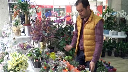 Romantiklerin yeni tercihi 'Kaktüs Teraryum Saksısı'