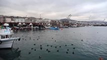 Karadeniz'in Hırçın Dalgaları Enerjiye Dönüşecek - Trabzon