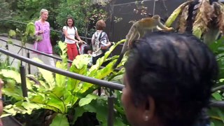 Tham quan River Safari Singapore (Full HD)