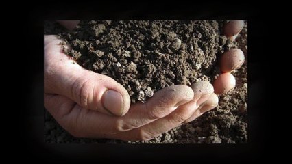 Top 6 Tips to Fix your Leaky Basement