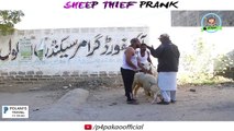 SHEEP THEIF PRANK - By Nadir Ali