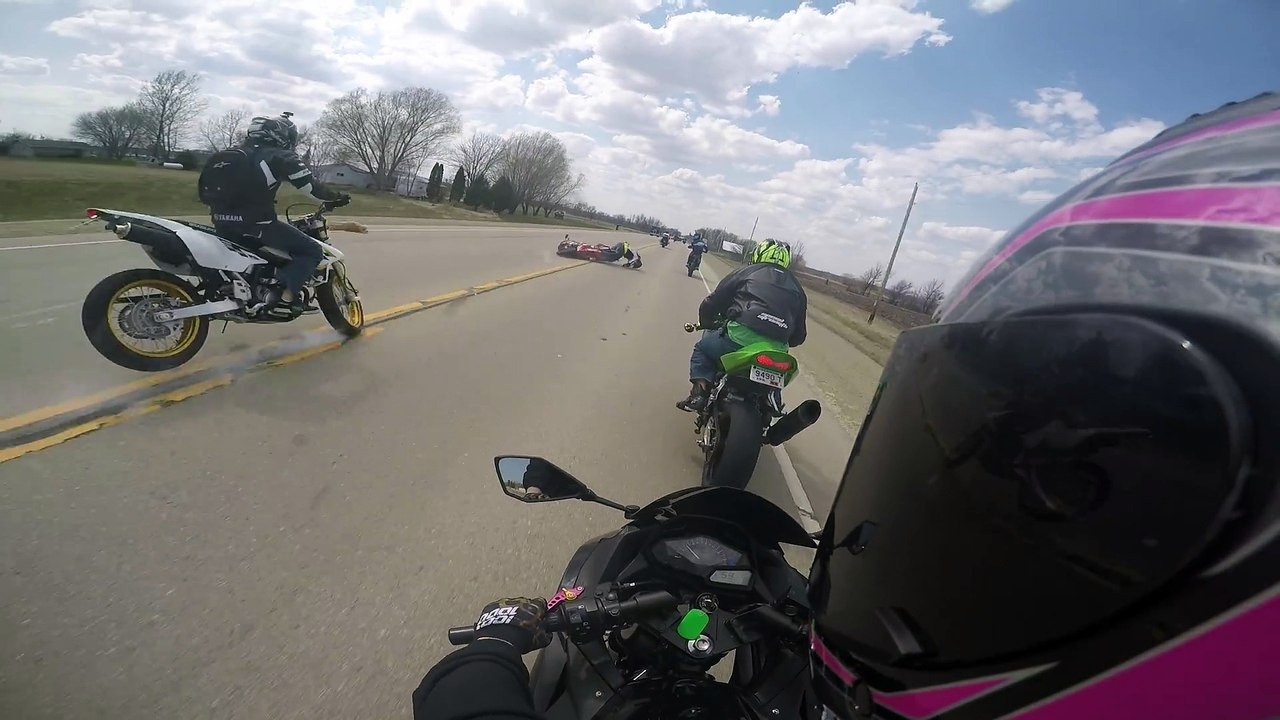 Etats-Unis: Un chien fait chuter des motards en traversant la route