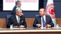 Dışişleri Bakanı Mevlüt Çavuşoğlu:'Seçim oldu inşallah hükümet kurulur biz de KKTC ile atacağımız adımları atarız ve müzakerelerle ilgili alacağımız kararı birlikte vermemiz gerekiyor. 2018 bu açıdan kritik olabilir'