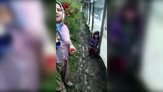 Çiftçi kadın AKP’ye isyan etti: Fakiri diri diri toprağa gömdün