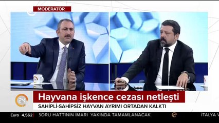 Hayvana işkence cezası netleşti