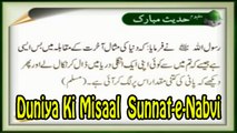 Duniya Ki Misaal | Sunnat-e-Nabvi | Deen Islam | Hadees | HD Video