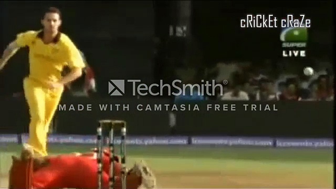 Top 10 Toe Crushing Yorkers in Cricket || Batsman Fall & Injured