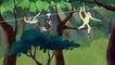 Wild Kratts - Learning More About Different Kinds of Wild Animals