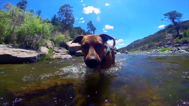 PREPARING for QUARTZSITE Tips for Boondocking in Quartzsite, Arizona RV Living Full Time