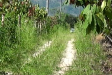 En el interior de una vivienda se encontró un arsenal completo de armas y municiones