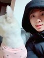 BTS' RM Hung Out With A Dog Wearing A Sweater & The Internet Is Officially Broken