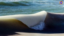 Inouï : sur les plages du Massachusetts, des vagues gelées ont été photographiées…