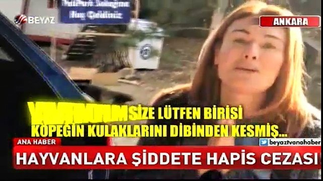 Hayvanlara şiddete hapis cezası