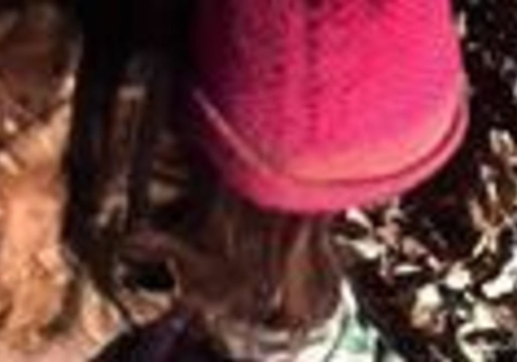 Missouri Police Rescue Dog, 6 Puppies Dumped on Side of Road