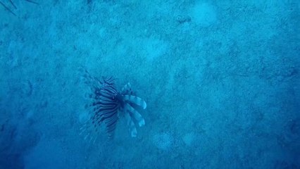 Reino Unido impõe fim às micropartículas de plástico nos cosméticos