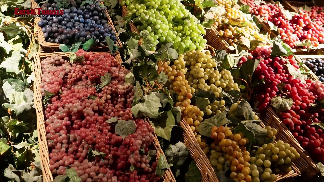 World Wine Town Bolgheri - Il Museo del vino nella città del vino di Bolgheri in Toscana