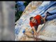 Flash of Super Classic Verdon Test-Piece 'Tom et Je Ris' - EpicTV Climbing Daily