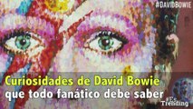 Imperdibles: curiosidades sobre la vida de David Bowie que todo fanático debe saber