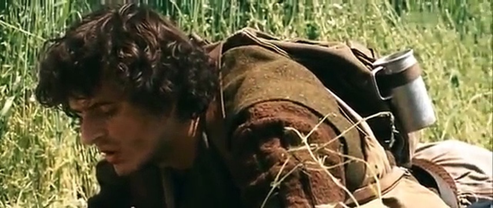 Portretul luptătorului la tinerețe (2010) - Filme Romanesti