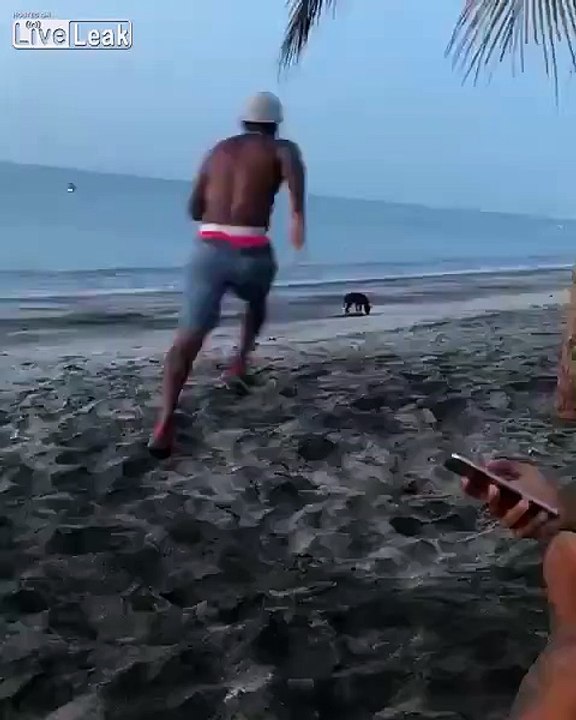 Idiot takes tries to kick a dog on beach, seconds later he gets a taste of his own medicine