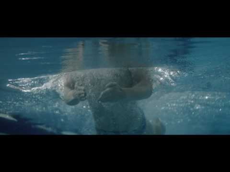 Everything Counts: Adam Peaty's journey to Rio 2016