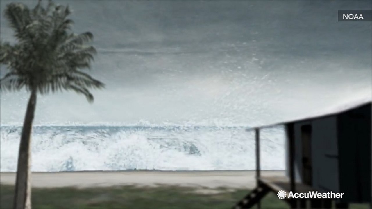 Science behind how earthquakes trigger tsunamis