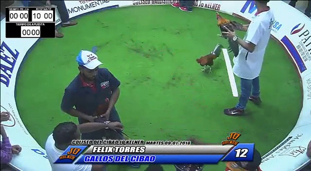 GALLOS DEL CIBAO VS FELIX TORRES