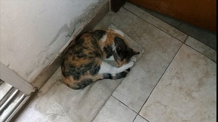 Recopilacion de fotos de ita del 31 12 2017 a 02 01 2018