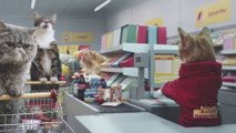 猫をつかったドイツのスーパーマーケットのＣＭが面白すぎる！w