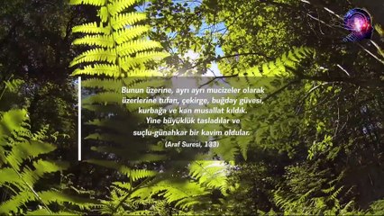 Firavun Ve Yakın Çevresi Onu Görünce Tedirgin Olmuştu