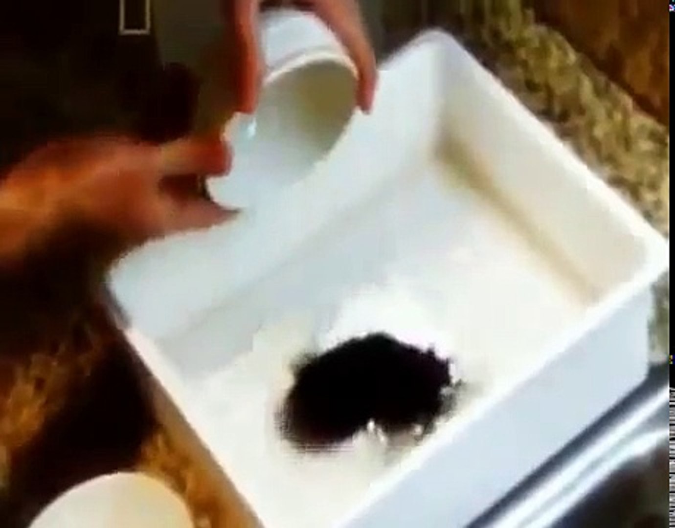 Documentary Megastructures Money Factory   Documentary National Geographic